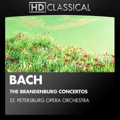 Brandenburg Concerto No. 6 in B-Flat Major, BWV 1051: II. Adagio Ma Non Tanto