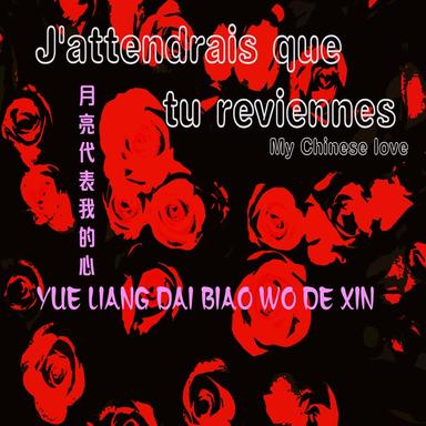 Yue Liang Dai Biao Wo De Xin / My Chinese Love 月亮代表我的心 (Version Chinese And English)