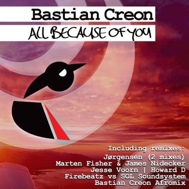 All Because of You - Firebeatz & Sound Of Love Soundsystem Remix