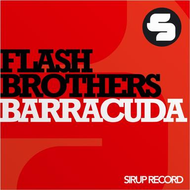 Barracuda - Thomas Schwartz Remix