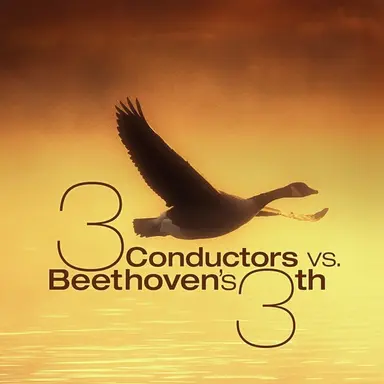 Symphony No. 3 in E-Flat Major, Op. 55 "Eroica": III. Scherzo (Allegro vivace)