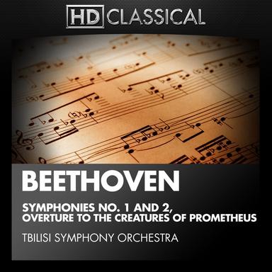 Symphony No. 1 in C Major, Op. 21: IV. Finale: Adagio - Allegro molto e vivace