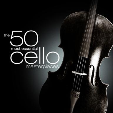 Sonata in G Minor for Cello and Piano, Op. 65: III. Largo