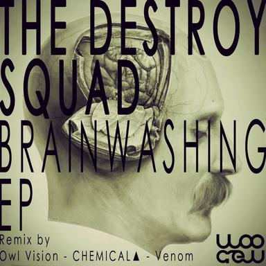 Brainwashing - Owl Vision Remix