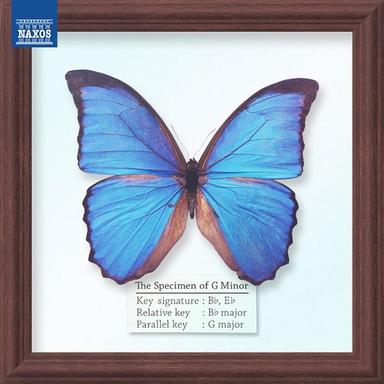 The 4 Seasons: The 4 Seasons: Violin Concerto In G Minor, Op. 8, No. 2, RV. 315, "L'estate" (Summer) - III.