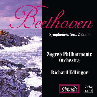 Symphony No. 5 in C Minor, Op. 67: I. Allegro con brio