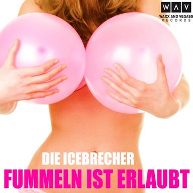Fummeln ist erlaubt - Radio Edit