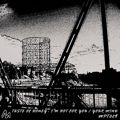 I'M Hot For You - Original Mix