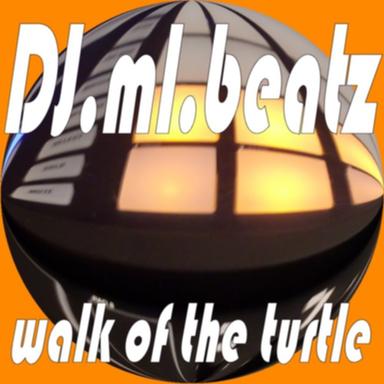 Walk Of The Turtle - Orginal Dance Mix