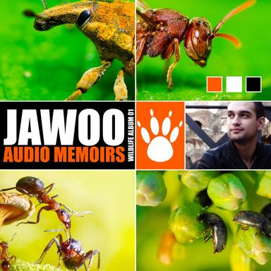 Audio Memoir