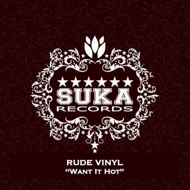 Want It Hot - Max Gabriel Remix