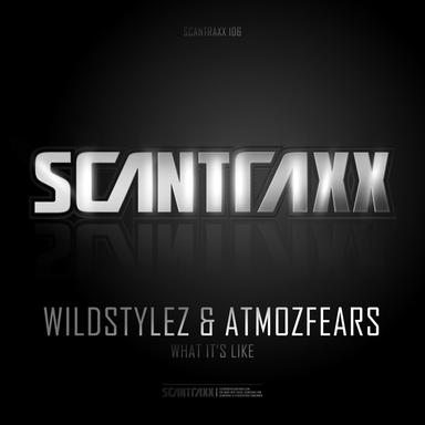 What It's Like (feat. Atmozfears)