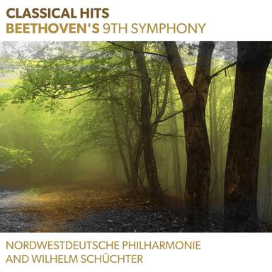 Symphony No. 9 in D Minor, Op. 125, "Choral": I. Allegro ma non troppo, un poco maestoso