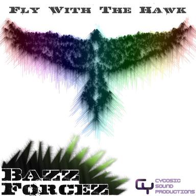 Fly With the Hawk