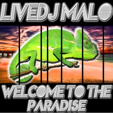 Welcome To The Paradise - Original Mix