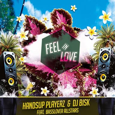 Feel in Love - Basslover Allstars & DJ Bonzaii Instrumental Mix