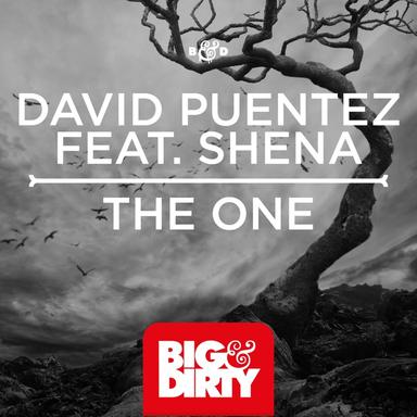The One (feat. Shena) - EP