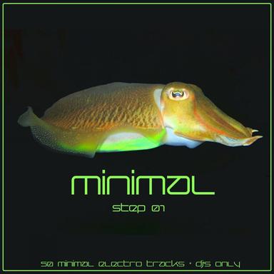 Minimal (Step 01)