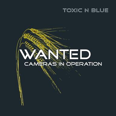 Wanted - Radio Edit