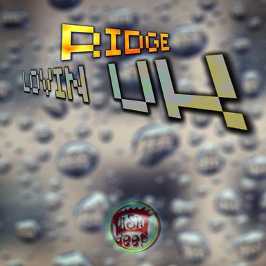 Southerner is an Attitude