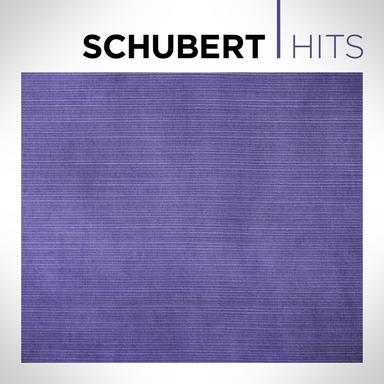 Symphony No. 5 in B-Flat Major, D. 485: I. Allegro
