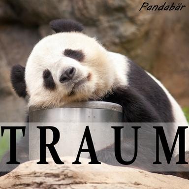Traum