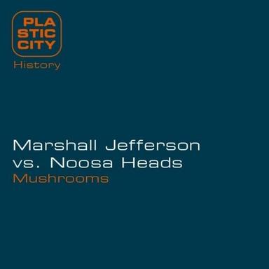 Mushrooms - Salt City Orchestra Remix