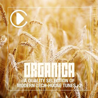 Mangho - Robot Needs Oil Remix