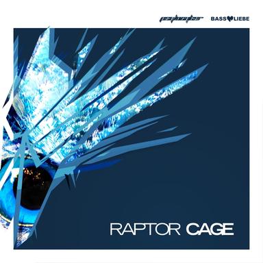 Raptor Cage