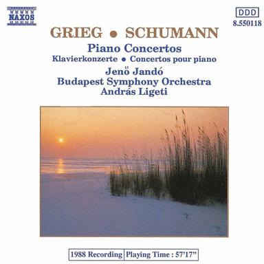 Piano Concerto in A Minor, Op. 54: I. Allegro affettuoso