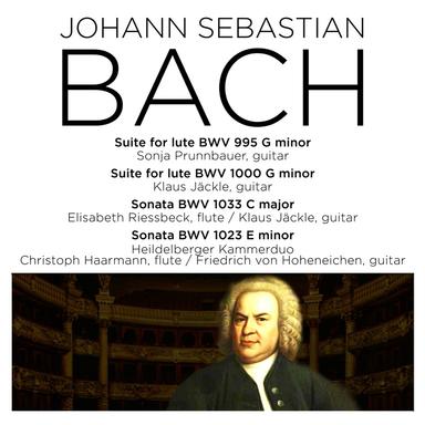 Suite in G Minor, BWV 995: II. Allemande