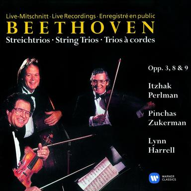 String Trio in D Major, Op. 9 No. 2: II. Andante quasi allegretto