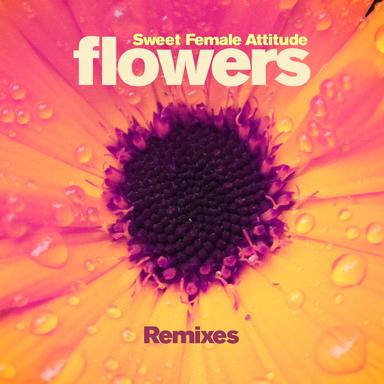 Flowers (Wackside's Small Tweaker Radio Mix)