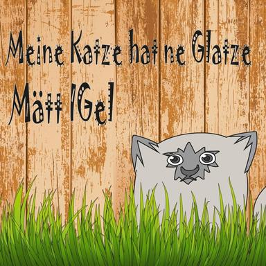 Meine Katze hat ne Glatze