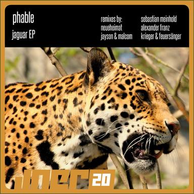 Jaguar - Sebastian Meinhold Remix