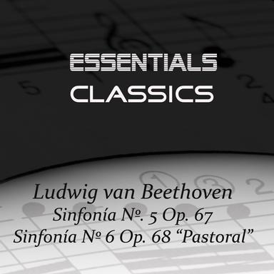 Symphony No. 6 In F Major, Op. 68, "Pastoral": I. Allegro ma non troppo