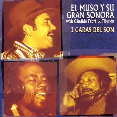 Sonaron Los Cañonazos