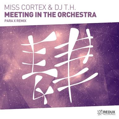 Meeting In The Orchestra - Para X Remix