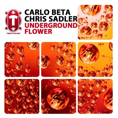 Underground Flower - Pavel Bidlo Remix