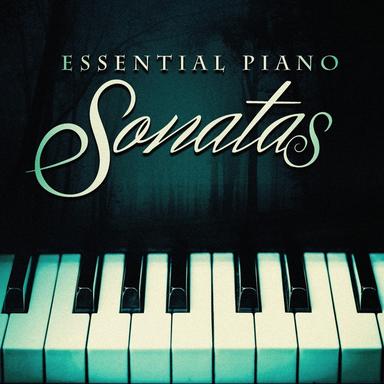 Piano Sonata No. 17 in D Minor, Op. 31 No. 2 'Tempest': II. Adagio