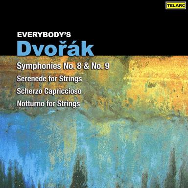 Serenade for Strings in E Major, Op. 22, B. 52: IV. Larghetto