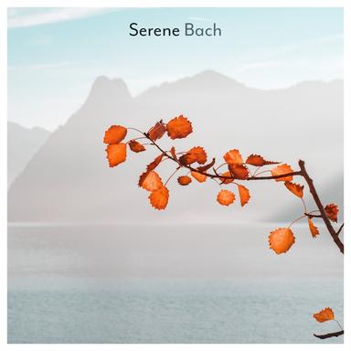 Serene Bach