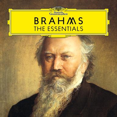 Concerto For Violin And Cello in A Minor, Op. 102: 3. Vivace non troppo - Poco meno allegro - Tempo I