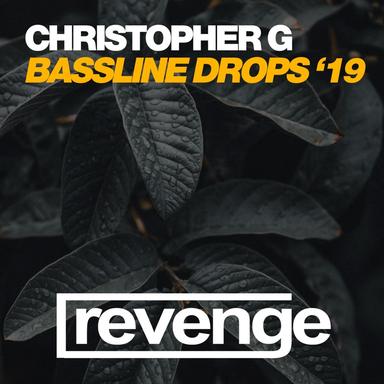 Bassline Drops - Tech House Mix