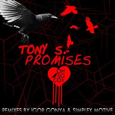 Promises - Igor Gonya Promising Dub