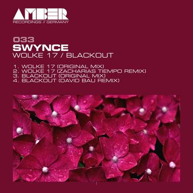 Blackout - David Bau Remix