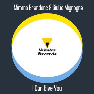 I Can Give You