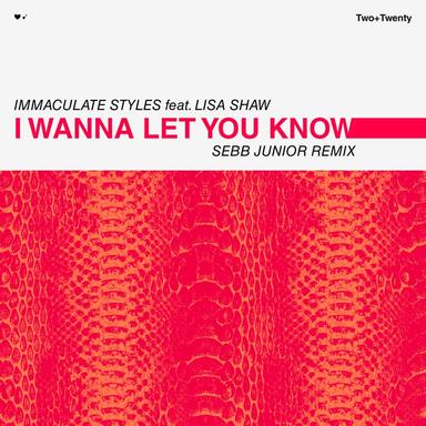 I Wanna Let You Know - Sebb Junior Remix Radio Edit