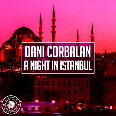 A Night In Istanbul - Radio Edit