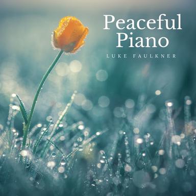 Nocturnes, Op. 9: No. 2 in E-Flat Major, Andante